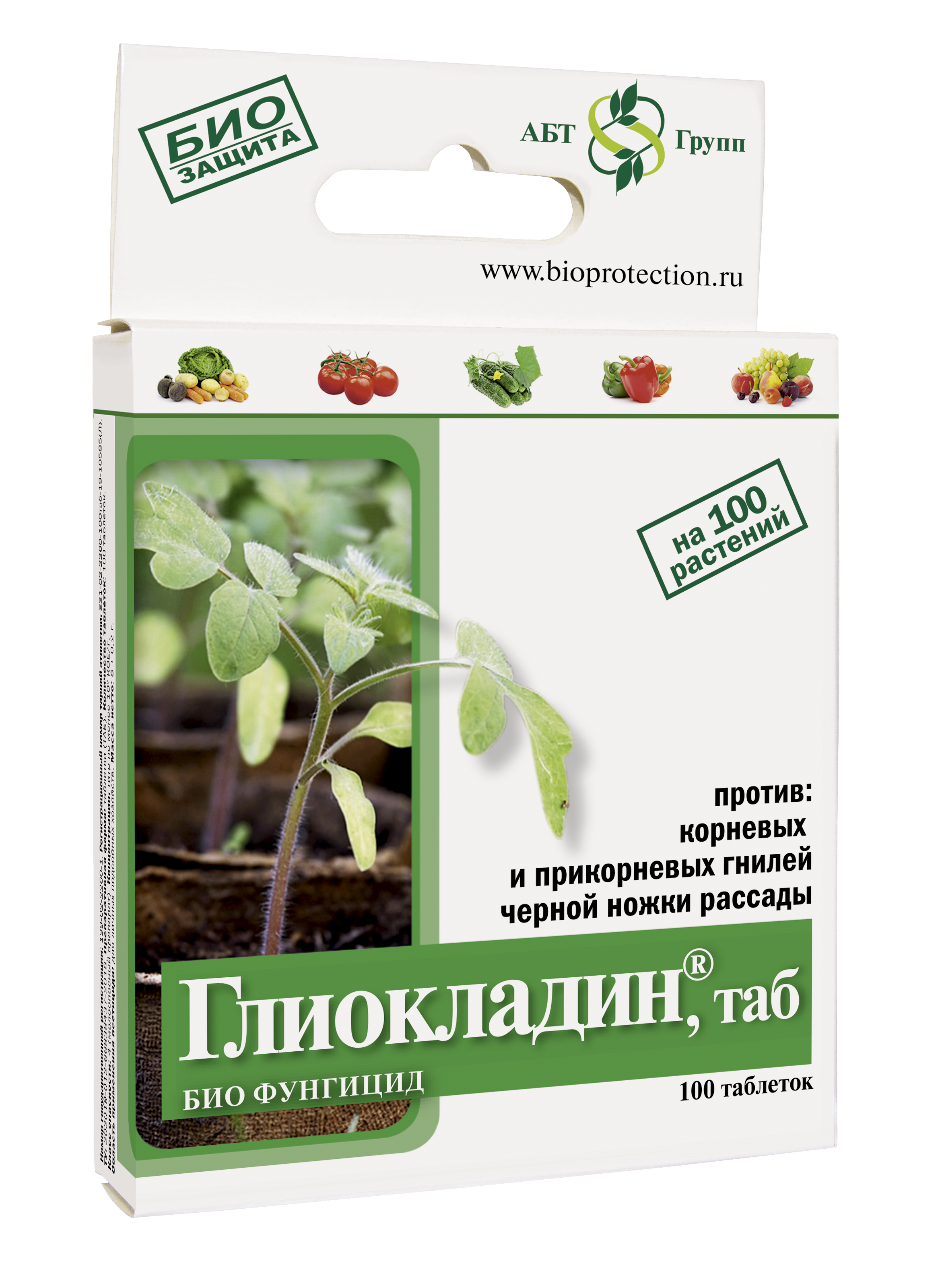Начинаем сезон правильно – растим здоровую и сильную рассаду!