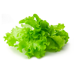 Защита салатных и зеленных культур в плёночных теплицах