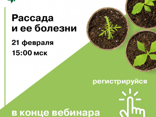 Вебинар "Рассада и ее болезни"