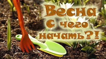 Маленькими шагами к большой победе.  Система защиты на весь сезон