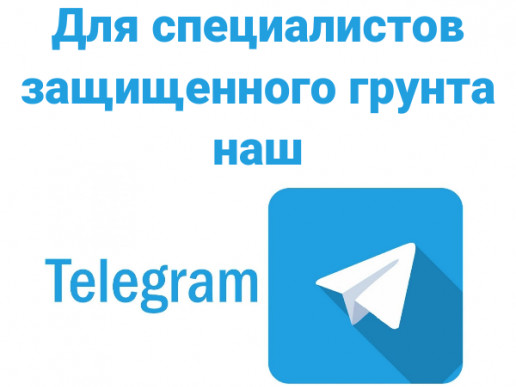 Телеграм-канал для специалистов защищенного грунта