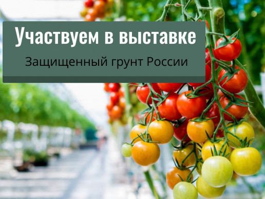 "АгроБиоТехнология" - участник выставки "Защищенный грунт России" 2024