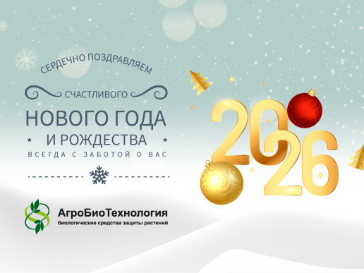 С Новым годом