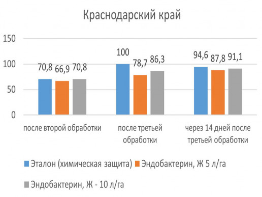 Рис. 6Б. Биологическая эффективность применения Эндобактерина, Ж  против трипса на томате, в %, Краснодарский край.