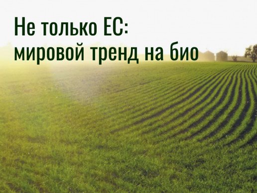 Не только Европа: как Бразилия, Китай, Индонезия перестраивают свои поля под биопрепараты Не только Европа: как Бразилия, Китай, Индонезия перестраивают свои поля под биопрепараты